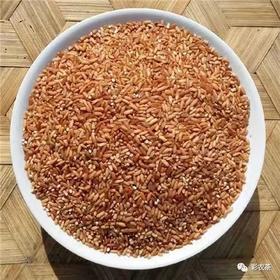 彩农优选｜原生旱稻·红香软米，2025年新米