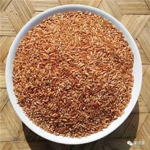 彩农优选｜原生旱稻·红香软米，2025年新米 商品图0