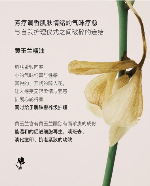 黄玉兰精油10%进口VCIP光感奶油肌发酵精华褪黑皮（PRO版）30ml 商品图5