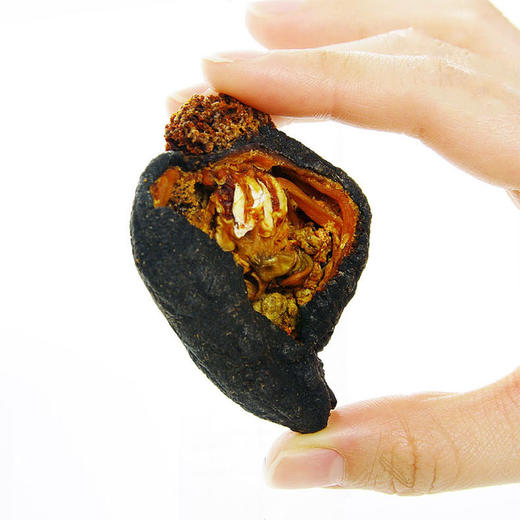 【加拿大野生北极参】自然生长 营养丰富 商品图5