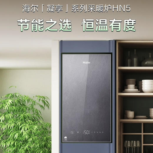 海尔（Haier）采暖炉 LL1PBD30-HN5NXCGU1 商品图1