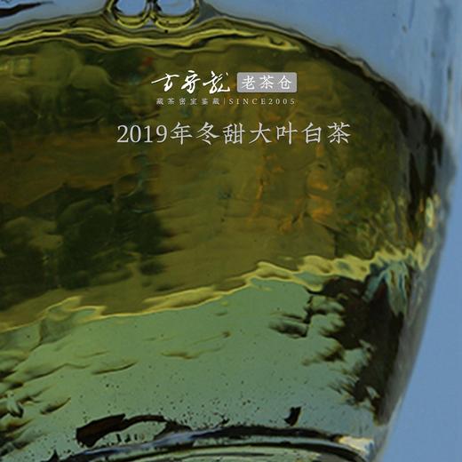 方守龙2019年冬甜大叶冬茶  福鼎白茶标杆之作 藏茶密室宝之 商品图4