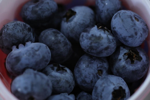 Super cup蓝莓杯｜香甜脆 商品图0