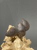 柏木雕翱翔老鹰把玩件，顺丰包邮 商品缩略图13