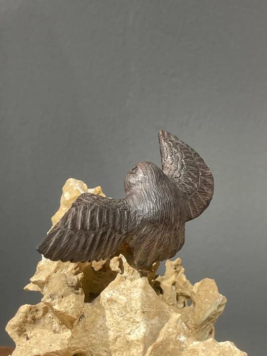 柏木雕翱翔老鹰把玩件，顺丰包邮 商品图13