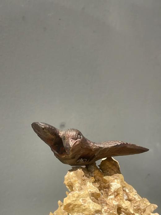 柏木雕翱翔老鹰把玩件，顺丰包邮 商品图3