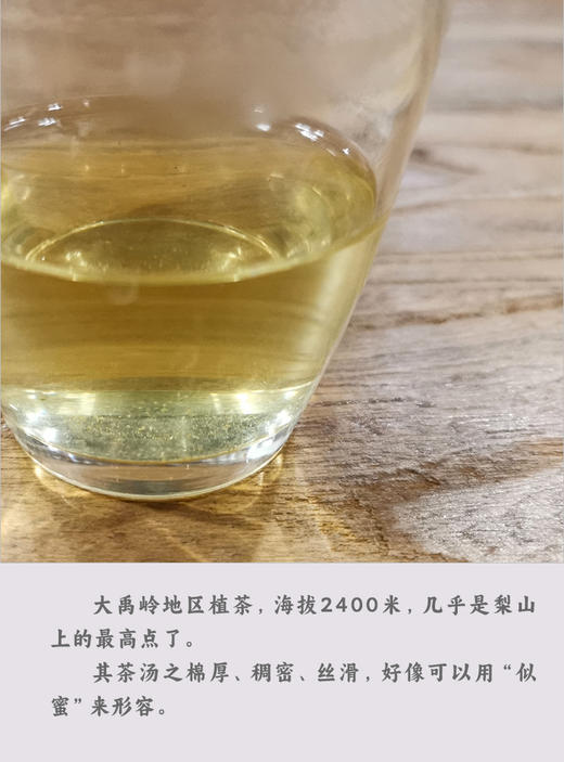 台湾大禹岭高冷乌龙茶 50克清香 商品图1