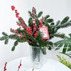 【圣诞快乐】AB级国产诺贝松1大支+AB级冬青2支.长约50-60cm（无卡片） 商品缩略图0