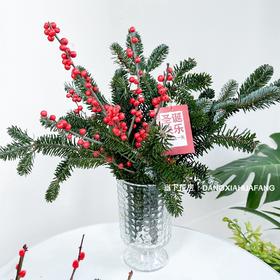 【圣诞快乐】AB级国产诺贝松1大支+AB级冬青2支.长约50-60cm（无卡片）
