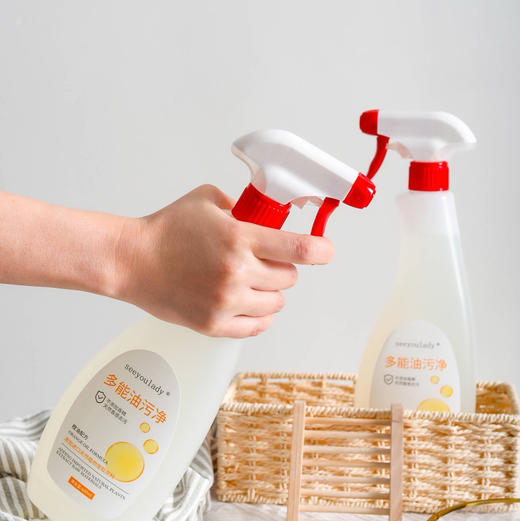 【自主产品】多功能油污净600ml*2瓶 商品图3