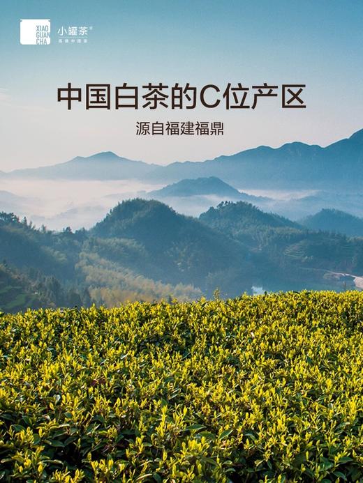 小罐茶金罐28罐白茶礼盒装特级白毫银针白牡丹寿眉茶叶送礼长辈 商品图3
