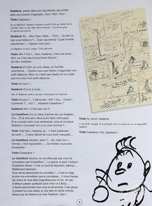 【中商原版】丁丁历险记 漫画作品集 法文原版 Herge Georges Remi Les Aventures de Tintin et Milou 埃尔热 商品图3