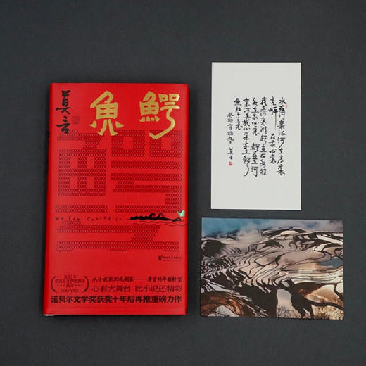 鳄鱼 莫言 著 商品图1