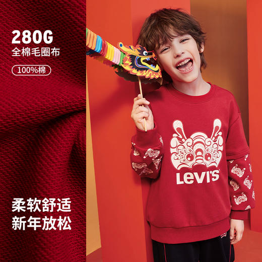 LEVIS 春 大童小童 儿童童装卫衣 LVN-FW-L571 商品图2