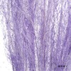 永生花材 | 粉黛乱子草粉紫色 商品缩略图3