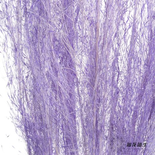 永生花材 | 粉黛乱子草粉紫色 商品图3