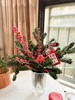 【圣诞快乐】AB级国产诺贝松1大支+AB级冬青2支.长约50-60cm（无卡片） 商品缩略图11