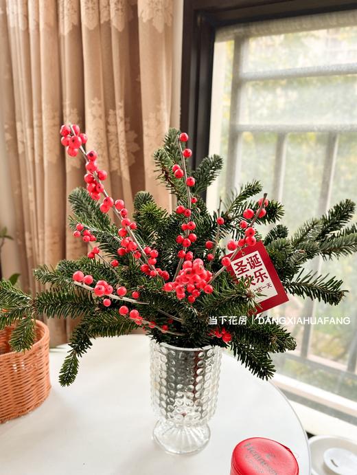 【圣诞快乐】AB级国产诺贝松1大支+AB级冬青2支.长约50-60cm（无卡片） 商品图11