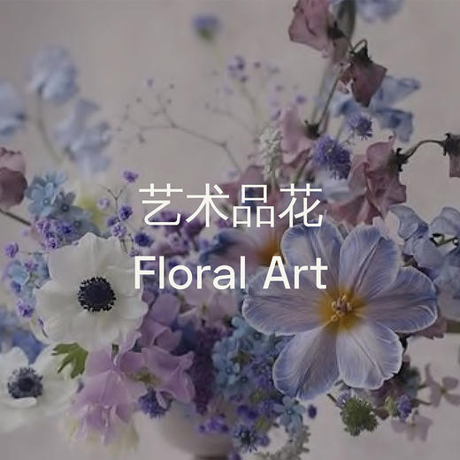 TGF_2024沙龙课 商品图1