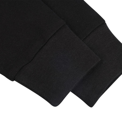 POLO RALPH LAUREN 拉夫劳伦 男士偏厚款全棉运动休闲Polo衫T恤 11853 商品图5