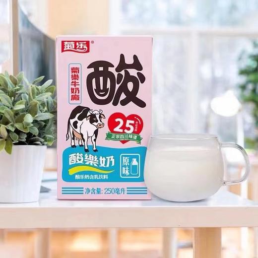 菊乐 酸乐奶 商品图10