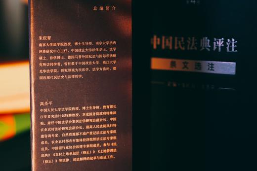 《中国民法典评注 · 条文选注（第4册）物权编合同编侵权责任编》 商品图2