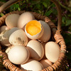 【竹林蛋土鸡蛋30枚】 新鲜 好吃 产地直发源头品牌九华山 商品缩略图3
