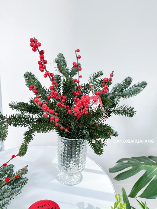 【圣诞快乐】AB级国产诺贝松1大支+AB级冬青2支.长约50-60cm（无卡片） 商品图5