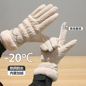 ALBB-1165新款时尚秋冬季保暖手套女士加绒加厚冬天户外骑行运动防风可触屏