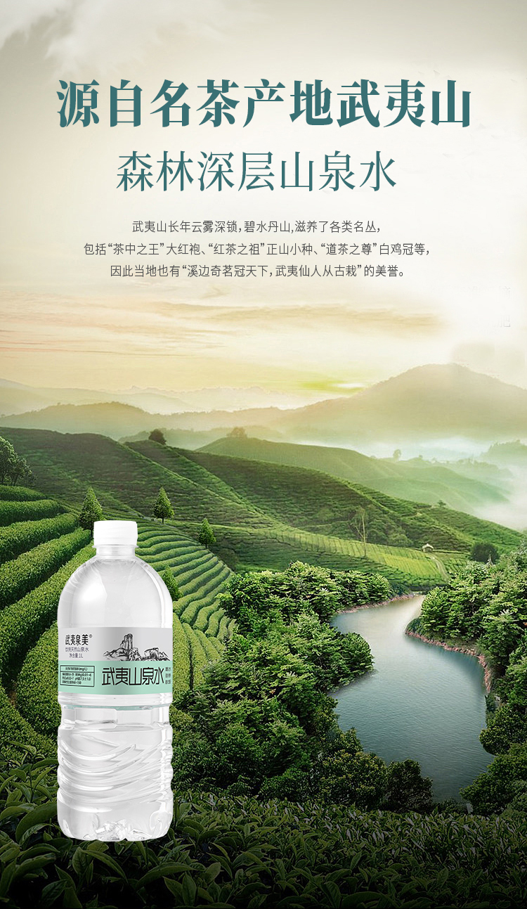 武夷泉美武夷山泉水/1件