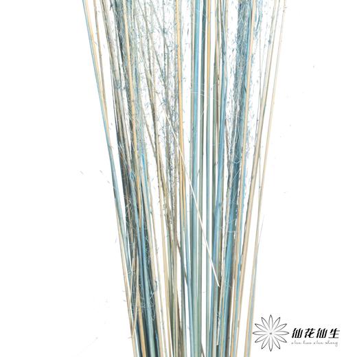 永生花材 | 粉黛乱子草浅蓝色 商品图3