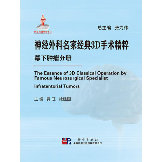 神经外科名家经典3D手术精粹·幕下肿瘤分册（U盘）/贾旺 商品图1