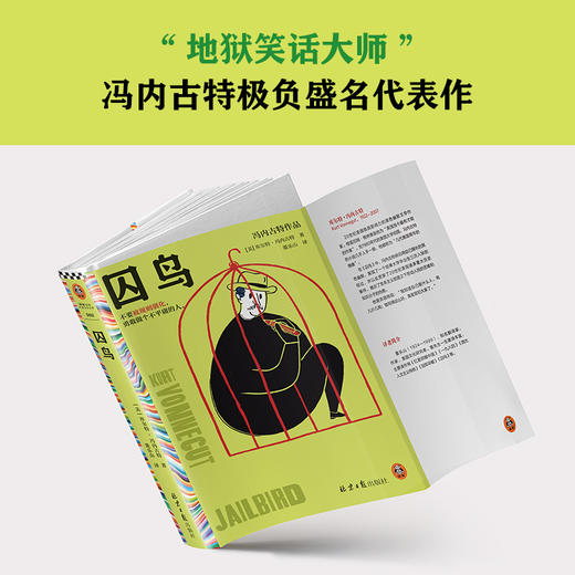 囚鸟 商品图1