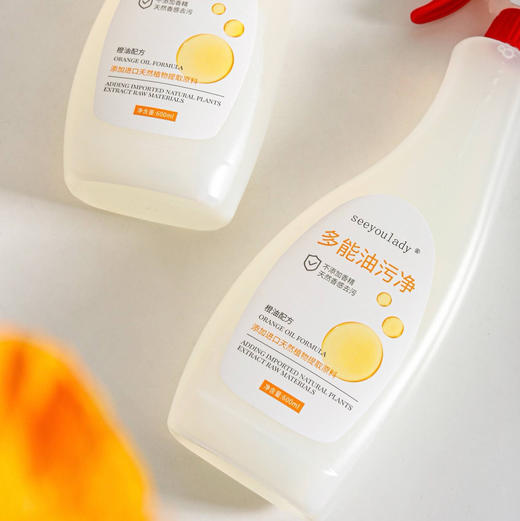 【自主产品】多功能油污净600ml*2瓶 商品图11