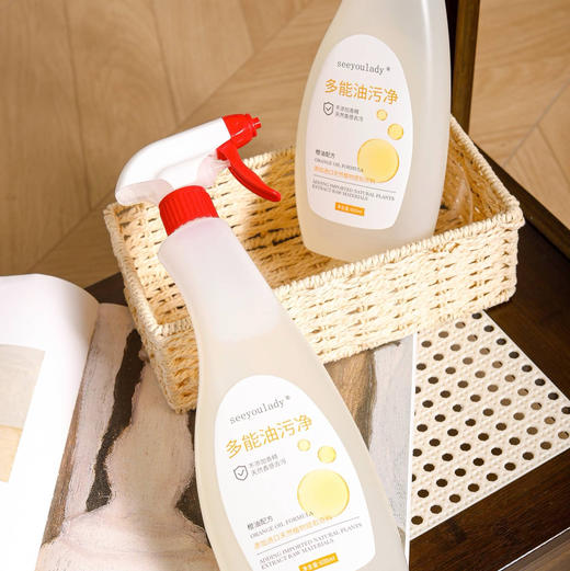 【自主产品】多功能油污净600ml*2瓶 商品图1