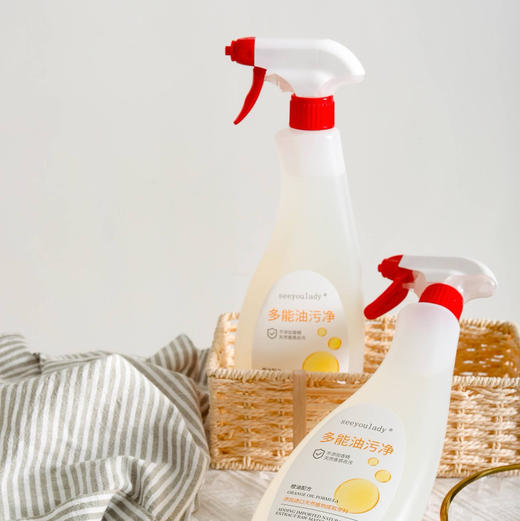 【自主产品】多功能油污净600ml*2瓶 商品图6