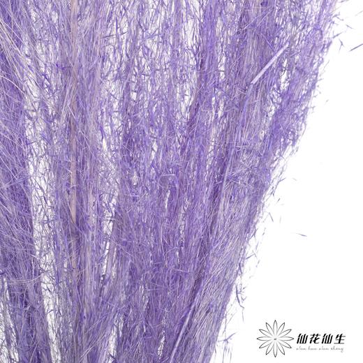 永生花材 | 粉黛乱子草粉紫色 商品图1