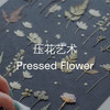TGF_2024沙龙课 商品缩略图0