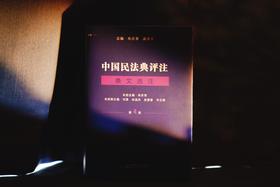 《中国民法典评注 · 条文选注（第4册）物权编合同编侵权责任编》