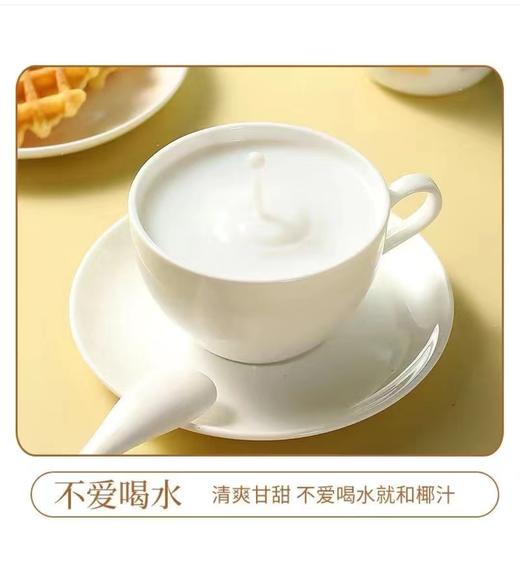 椰小美 零蔗糖椰汁245ml*10瓶/箱【FY】 商品图7