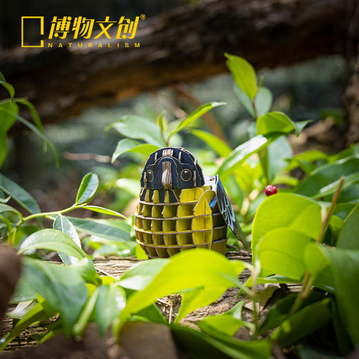 上新 | 博物文创 为自然发声系列纸模麻雀红头长尾山雀翠鸟可发声纸模 商品图3