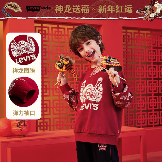 LEVIS 春 大童小童 儿童童装卫衣 LVN-FW-L571 商品图0