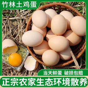 【竹林蛋土鸡蛋30枚】 新鲜 好吃 产地直发源头品牌九华山