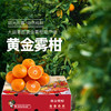 黄金雾柑 商品缩略图1