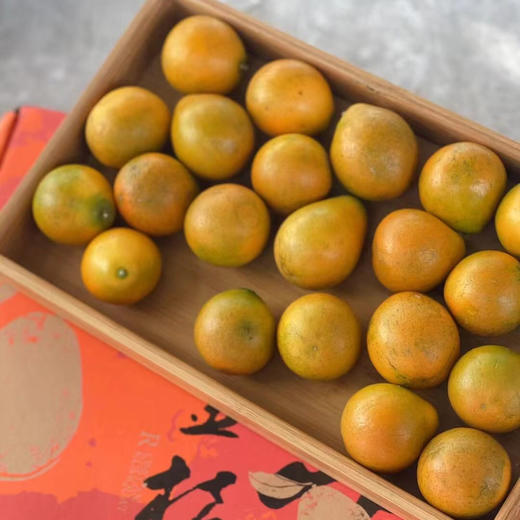 【广西融安】脆蜜金柑 第3代 果大香浓 多汁化渣 商品图6