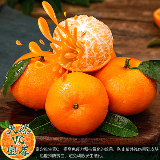 黄金雾柑 商品图3