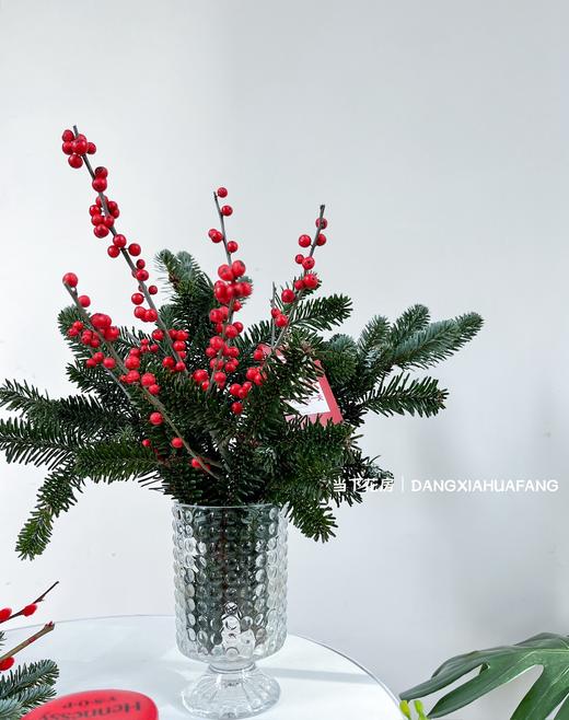【圣诞快乐】AB级国产诺贝松1大支+AB级冬青2支.长约50-60cm（无卡片） 商品图4