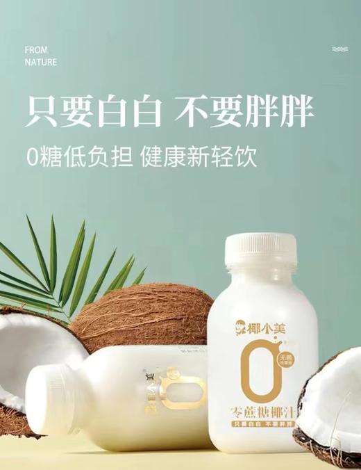 椰小美 零蔗糖椰汁245ml*10瓶/箱【FY】 商品图2