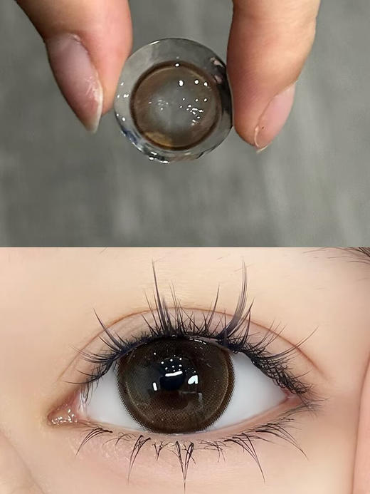 【大直径半年抛】Jellydoll-山茶花-14.5mm【半年抛 0-1000度 含525/575】 商品图1