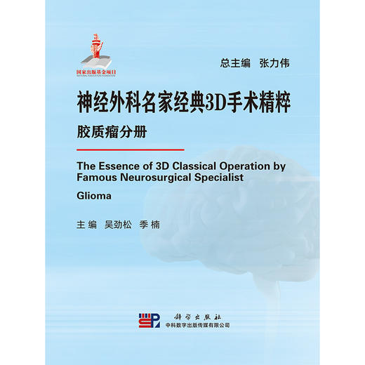 神经外科名家经典3D手术精粹·胶质瘤分册（U盘）吴劲松，季楠 商品图1